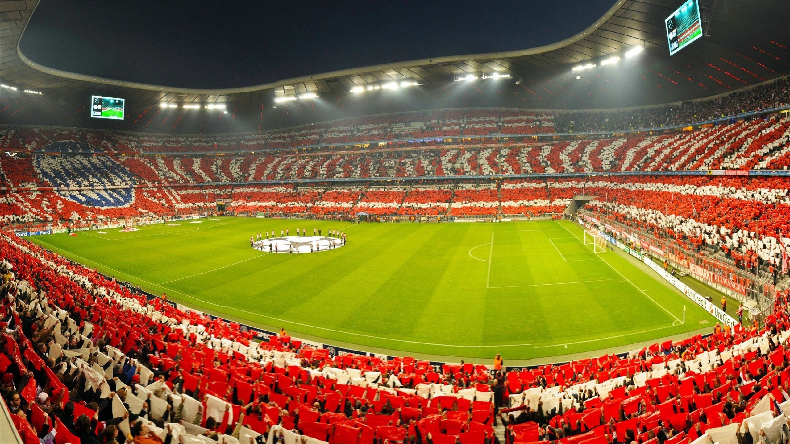 马里特·斯滕伯根100米自由泳赛场表现稳健